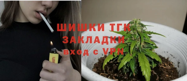 шишки Балахна