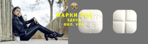 шишки Балахна
