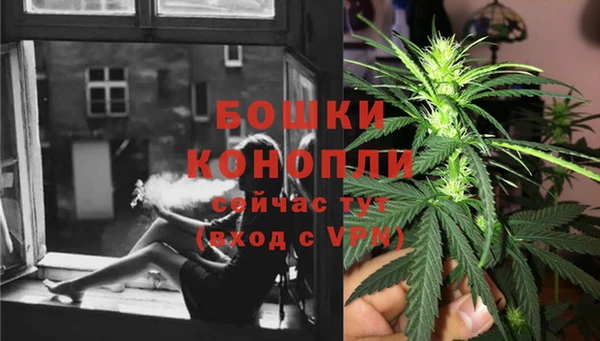 стаф Баксан