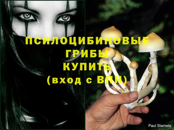 стаф Баксан