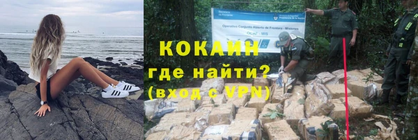 шишки Балахна