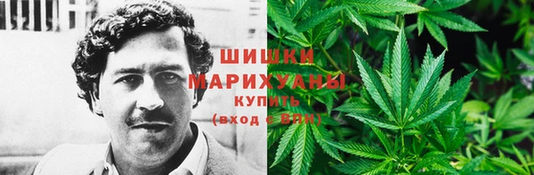 спайс Осинники