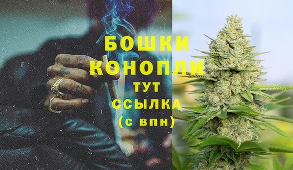 стаф Баксан