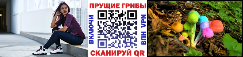Галлюциногенные грибы GOLDEN TEACHER  Тайшет 